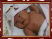 Megan Shuny Koerniawan